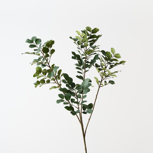 Artificial Myrtle Leaf Spray 85cm Dark Green - Pack of 12 - FLORA DESIGNS