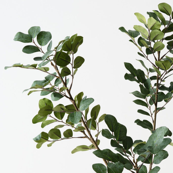 Artificial Myrtle Leaf Spray 85cm Dark Green - Pack of 12 - FLORA DESIGNS
