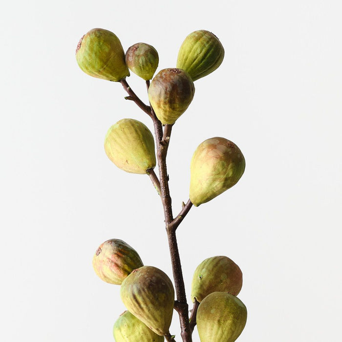 Artificial Fig Spray 92cm Green Burgundy - Pack of 12 - FLORA DESIGNS
