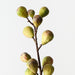 Artificial Fig Spray 92cm Green Burgundy - Pack of 12 - FLORA DESIGNS