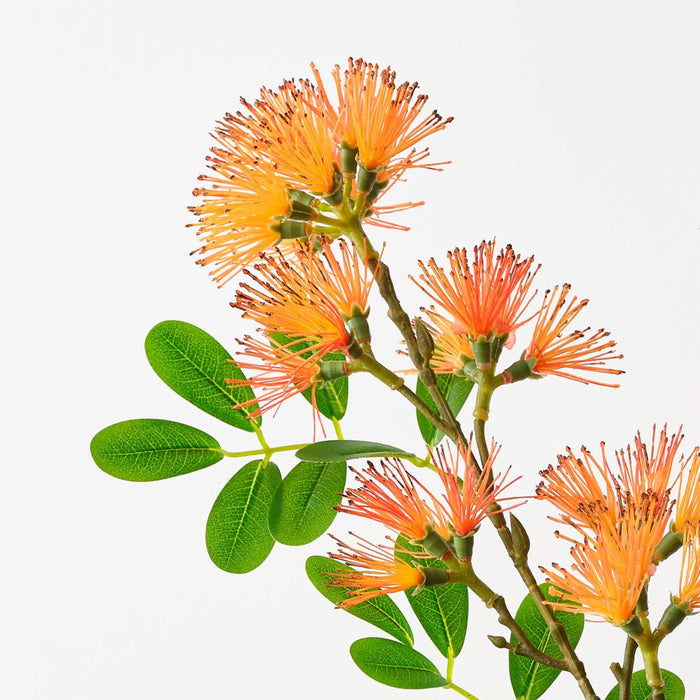 Artificial Chrysantha Spray 89cm Orange - Pack of 12 - FLORA DESIGNS