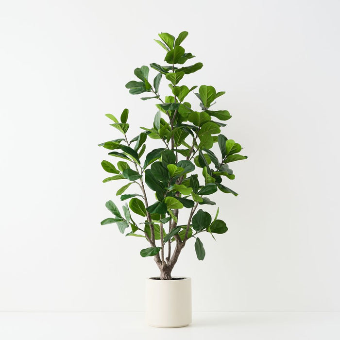 Artificial Fiddle Leaf Tree 210cm Green - FLORA DESIGNS