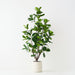 Artificial Fiddle Leaf Tree 210cm Green - FLORA DESIGNS