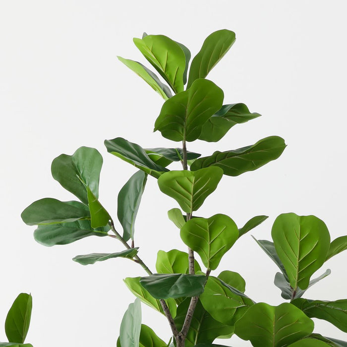 Artificial Fiddle Leaf Tree 210cm Green - FLORA DESIGNS