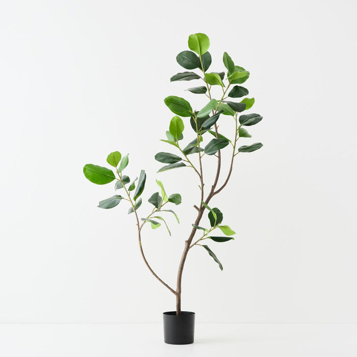 Artificial Rubber Tree 180cm Green - FLORA DESIGNS