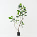 Artificial Rubber Tree 180cm Green - FLORA DESIGNS