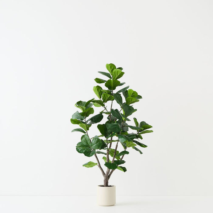 Artificial Fiddle Leaf Tree 150cm Green - FLORA DESIGNS