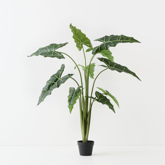 Artificial Alocasia Plant 140cm Green - FLORA DESIGNS