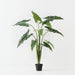 Artificial Alocasia Plant 140cm Green - FLORA DESIGNS