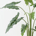 Artificial Alocasia Plant 140cm Green - FLORA DESIGNS