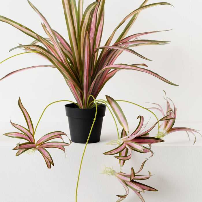 Artificial Spider Plant 70cm Pink Green - Pack of 6 - FLORA DESIGNS