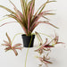 Artificial Spider Plant 70cm Pink Green - Pack of 6 - FLORA DESIGNS