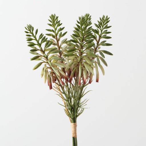 Artificial Agave Flowering Bundle 30cm Green Eggplant - Pack of 6 - FLORA DESIGNS