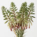 Artificial Agave Flowering Bundle 30cm Green Eggplant - Pack of 6 - FLORA DESIGNS