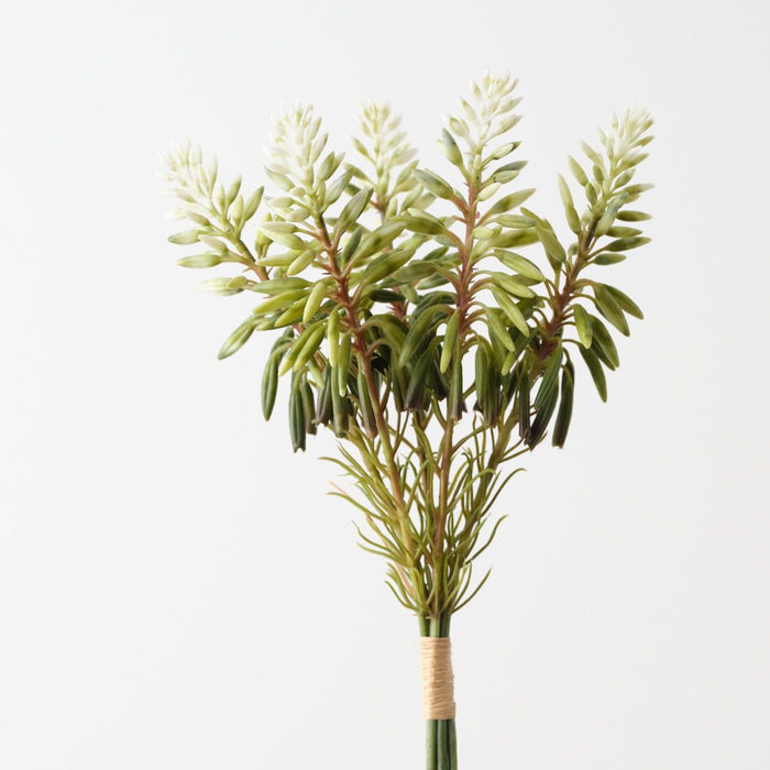 Artificial Agave Flowering Bundle 30cm White Green - Pack of 6 - FLORA DESIGNS