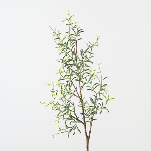 Artificial Senecio Spray 76cm Green - Pack of 12 - FLORA DESIGNS
