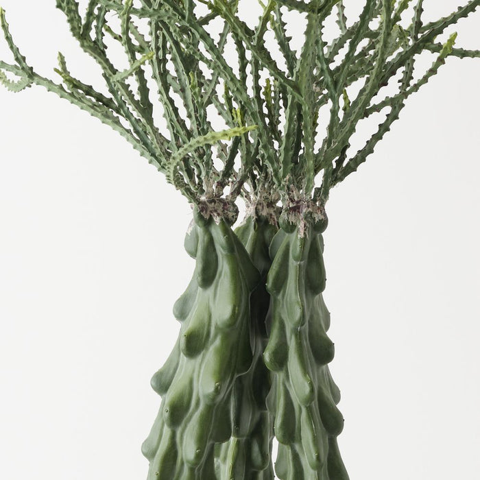 Artificial Crown Cactus Plant 68cm Green - FLORA DESIGNS