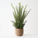 Artificial Rosemary Plant 78cm Green - FLORA DESIGNS
