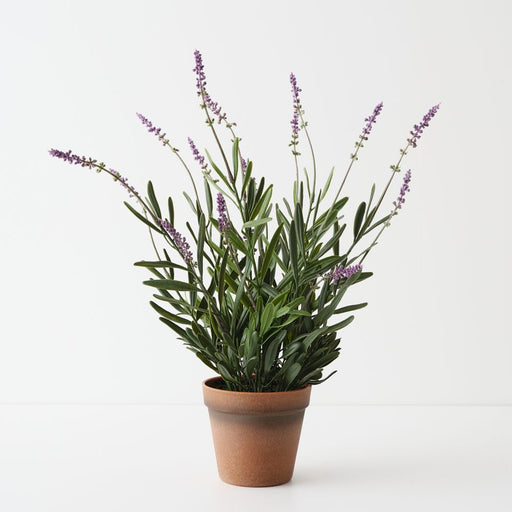 Artificial Lavender Plant 43cm Lilac - Pack of 4 - FLORA DESIGNS
