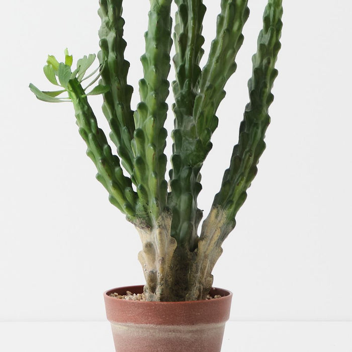Artificial Euphorbia Cactus Plant 124cm Green Burgundy - FLORA DESIGNS