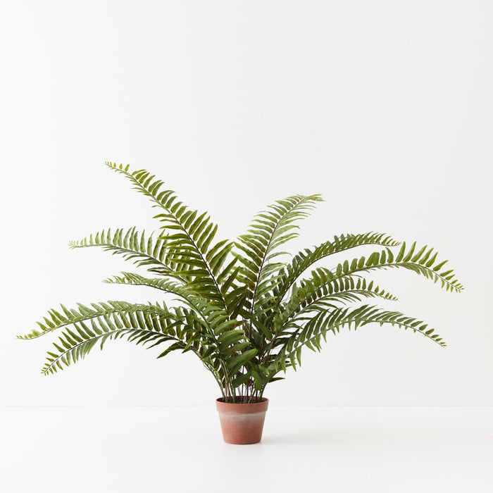 Artificial Sword Fern Plant 82cm Green - FLORA DESIGNS
