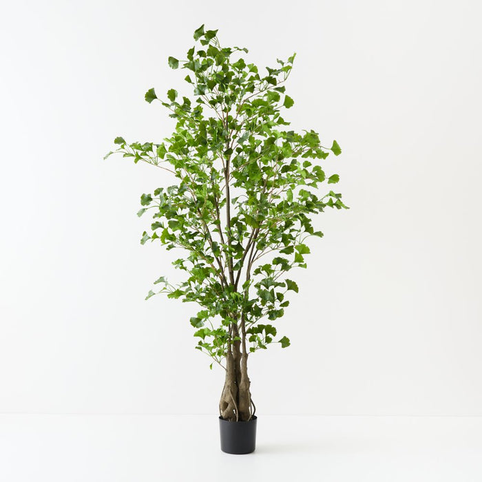 Artificial Ginkgo Tree 183cm Green - FLORA DESIGNS
