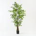 Artificial Ginkgo Tree 183cm Green - FLORA DESIGNS