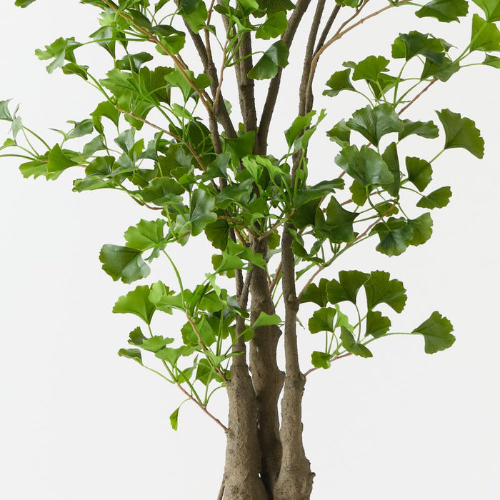 Artificial Ginkgo Tree 183cm Green - FLORA DESIGNS