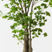 Artificial Ginkgo Tree 183cm Green - FLORA DESIGNS