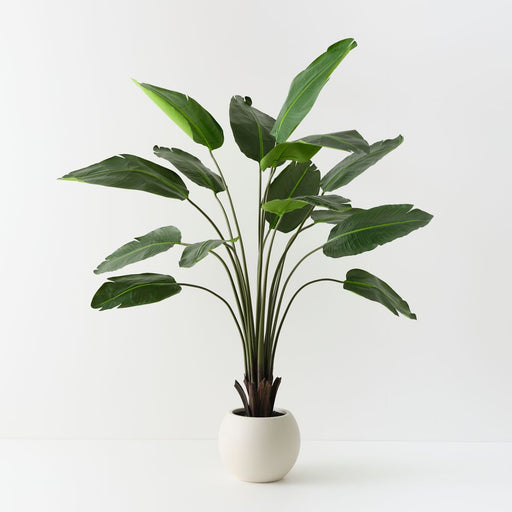 Artificial Bird of Paradise Plant 183cm Green - FLORA DESIGNS