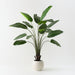 Artificial Bird of Paradise Plant 183cm Green - FLORA DESIGNS