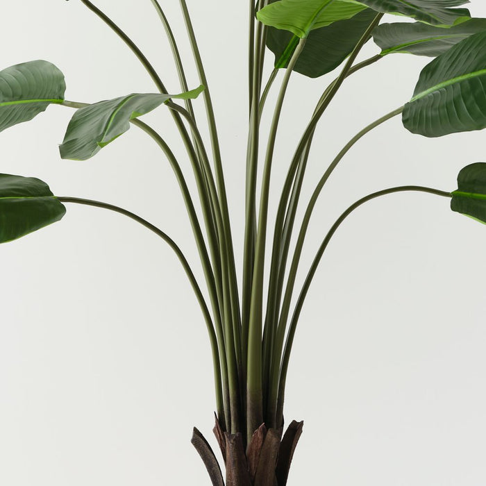 Artificial Bird of Paradise Plant 183cm Green - FLORA DESIGNS