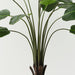 Artificial Bird of Paradise Plant 183cm Green - FLORA DESIGNS
