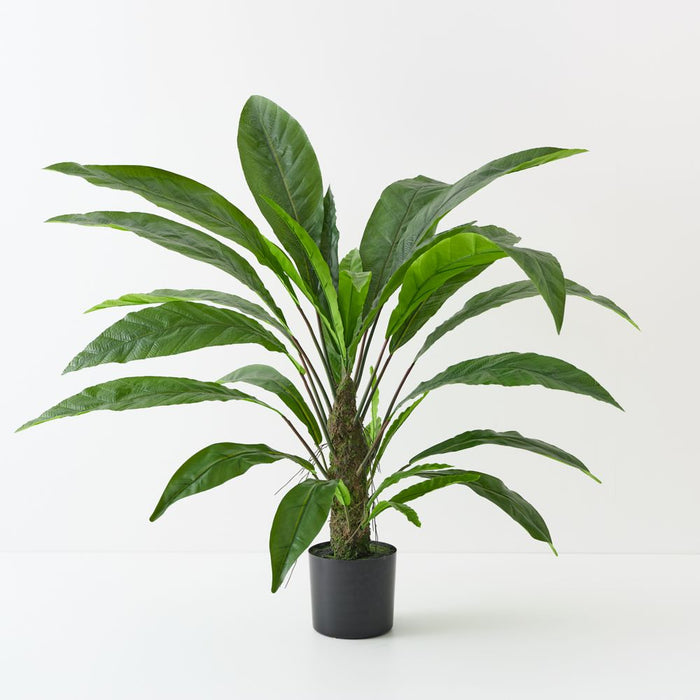 Artificial Birds Nest Fern Plant 122cm Green - Pack of 2 - FLORA DESIGNS