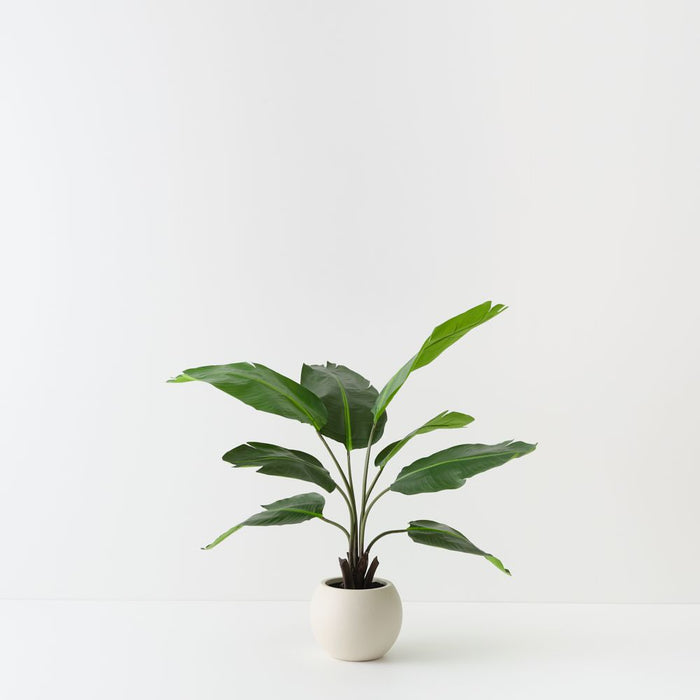 Artificial Bird of Paradise Plant 122cm Green - FLORA DESIGNS