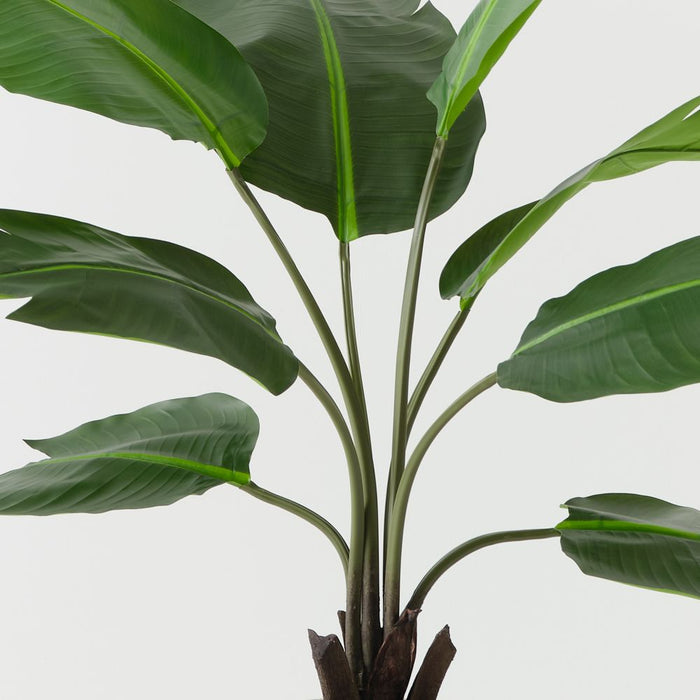 Artificial Bird of Paradise Plant 122cm Green - FLORA DESIGNS