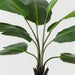 Artificial Bird of Paradise Plant 122cm Green - FLORA DESIGNS