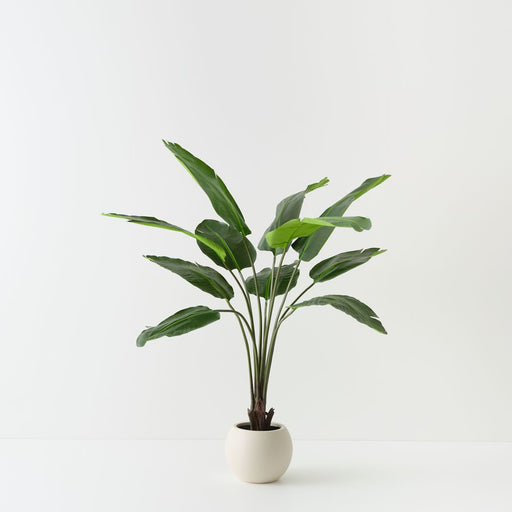 Artificial Bird of Paradise Plant 153cm Green - FLORA DESIGNS