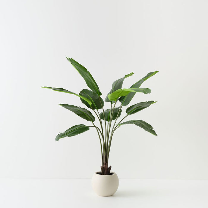Artificial Bird of Paradise Plant 153cm Green - FLORA DESIGNS
