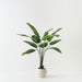 Artificial Bird of Paradise Plant 153cm Green - FLORA DESIGNS