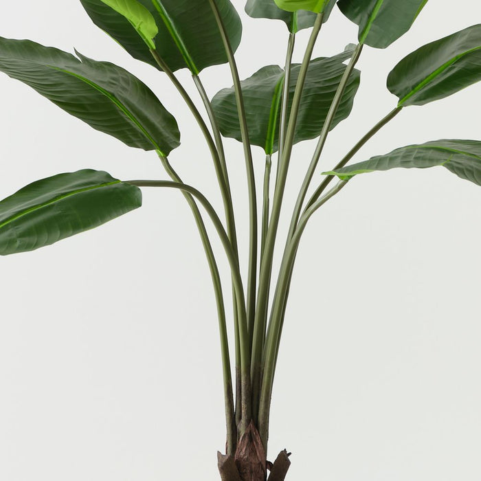 Artificial Bird of Paradise Plant 153cm Green - FLORA DESIGNS