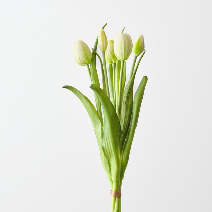 Artificial Tulip Bundle 41cm Cream Green - Pack of 6 - FLORA DESIGNS