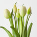 Artificial Tulip Bundle 41cm Cream Green - Pack of 6 - FLORA DESIGNS