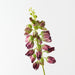 Artificial Lupine Spray 70cm Eggplant Green - Pack of 12 - FLORA DESIGNS
