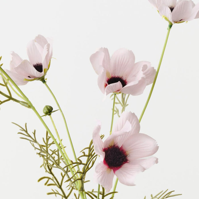 Artificial Cosmos Spray 68cm Light Pink - Pack of 12 - FLORA DESIGNS