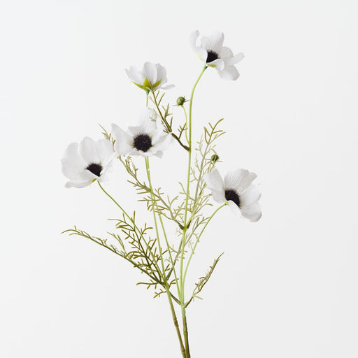 Artificial Cosmos Spray 68cm White - Pack of 12 - FLORA DESIGNS