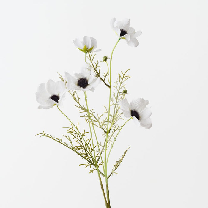 Artificial Cosmos Spray 68cm White - Pack of 12 - FLORA DESIGNS