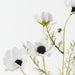 Artificial Cosmos Spray 68cm White - Pack of 12 - FLORA DESIGNS