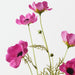 Artificial Cosmos Spray 68cm Plum - Pack of 12 - FLORA DESIGNS