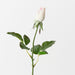 Artificial Everly Rosebud 44cm Cream Pink - Pack of 24 - FLORA DESIGNS